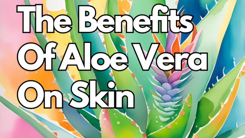The Benefits Of Aloe Vera On Skin